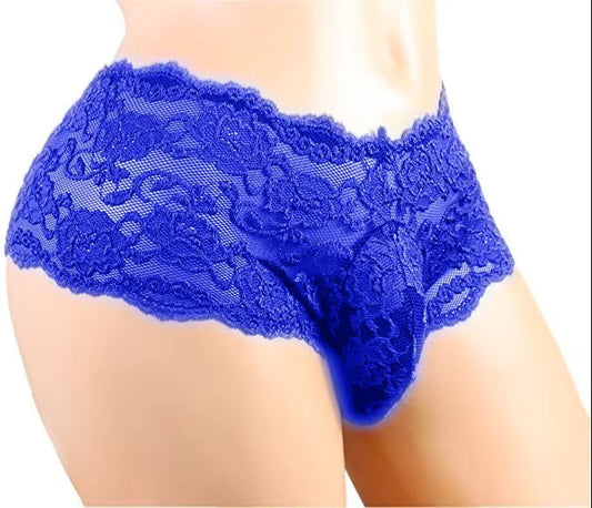 Lace Transparent Brief or Thong
