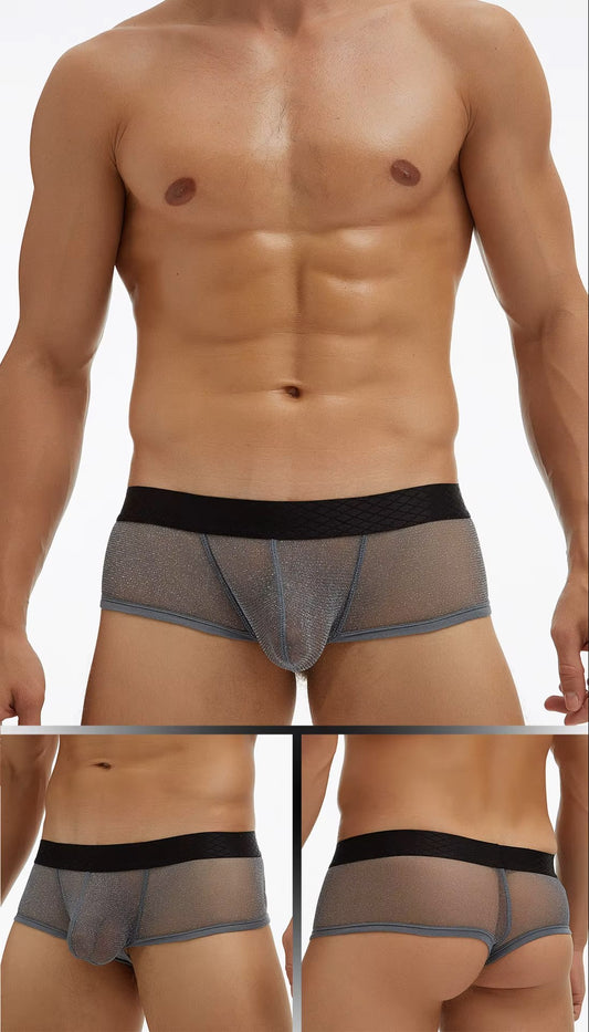 Fine Mesh Breathable Boxer Briefs Plus